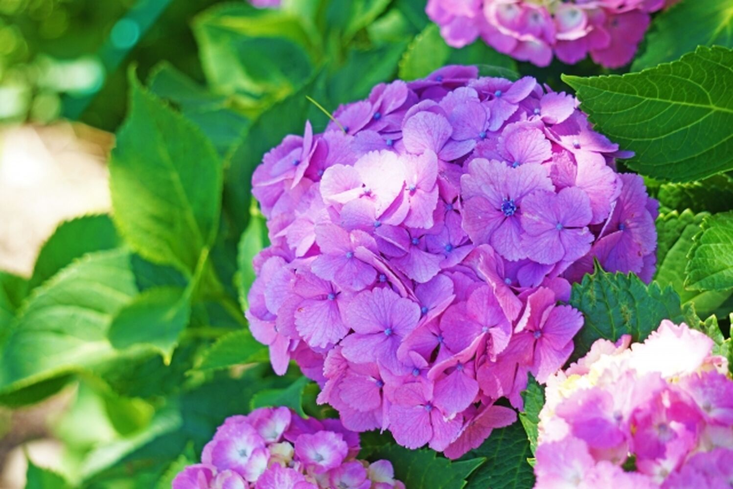 画像10488