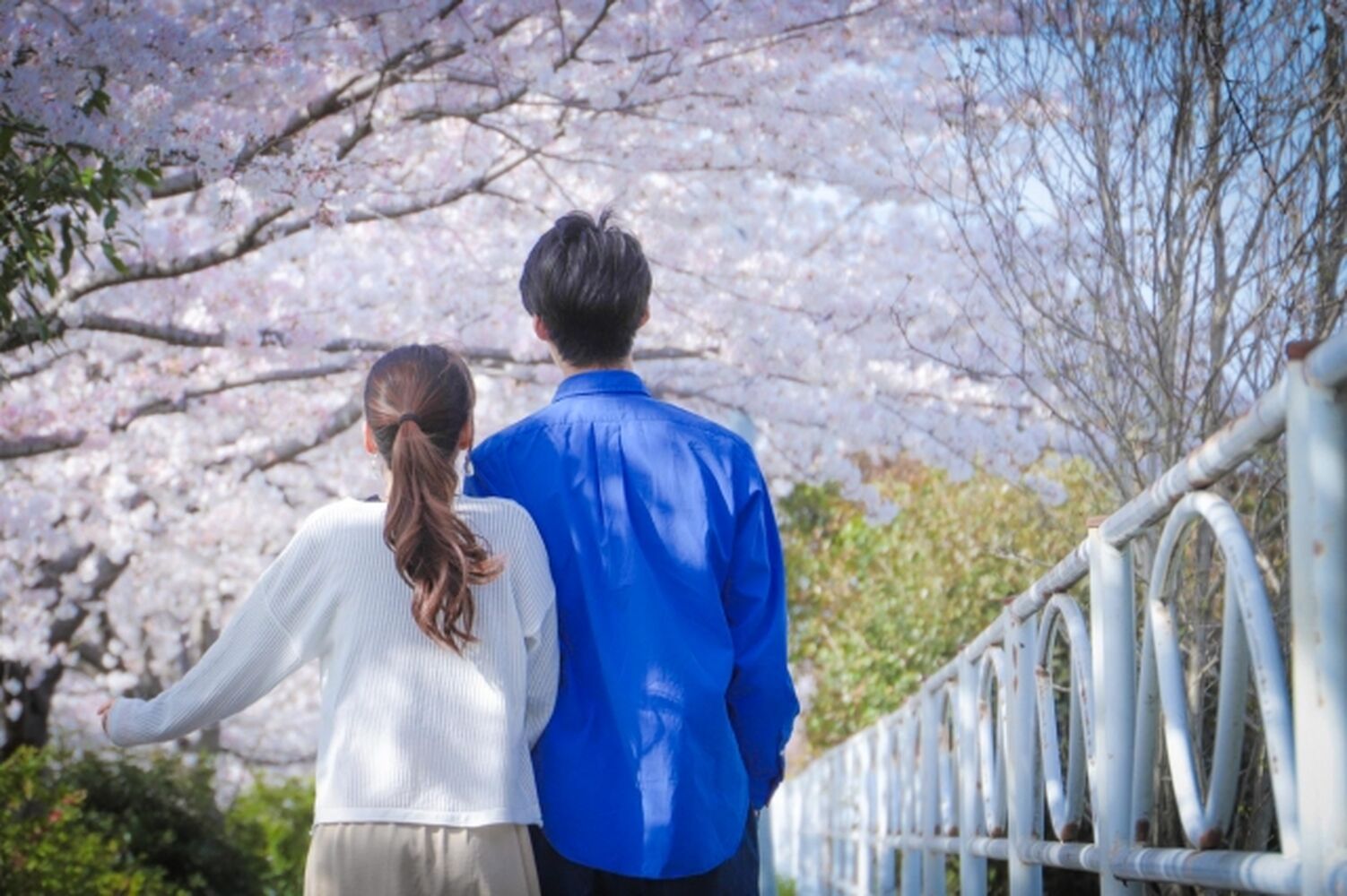 画像15326